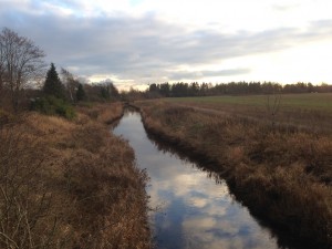 IMG_1888
